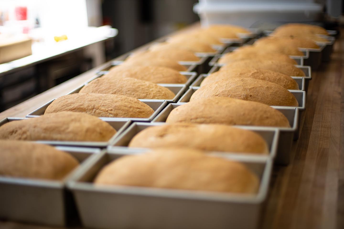 LIVING PROOF New bakery in downtown Rogers serves up high quality